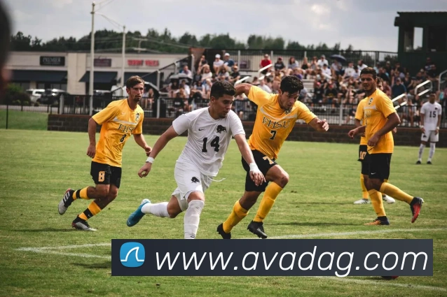 ag百家乐平台生态图